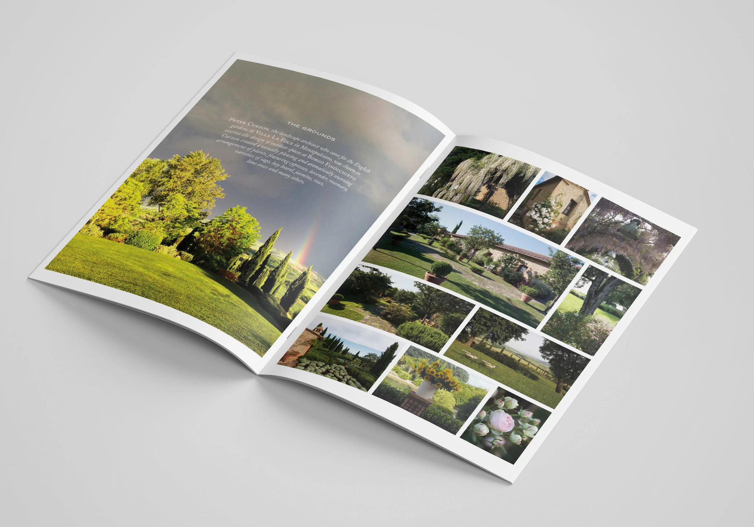 Borgo_Brch_1-w.jpg