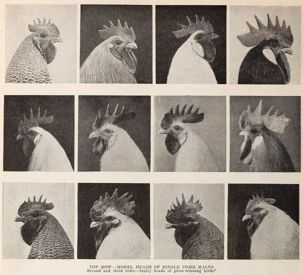 4ffc56d88b9aee988d0196fd0943e73f.jpg