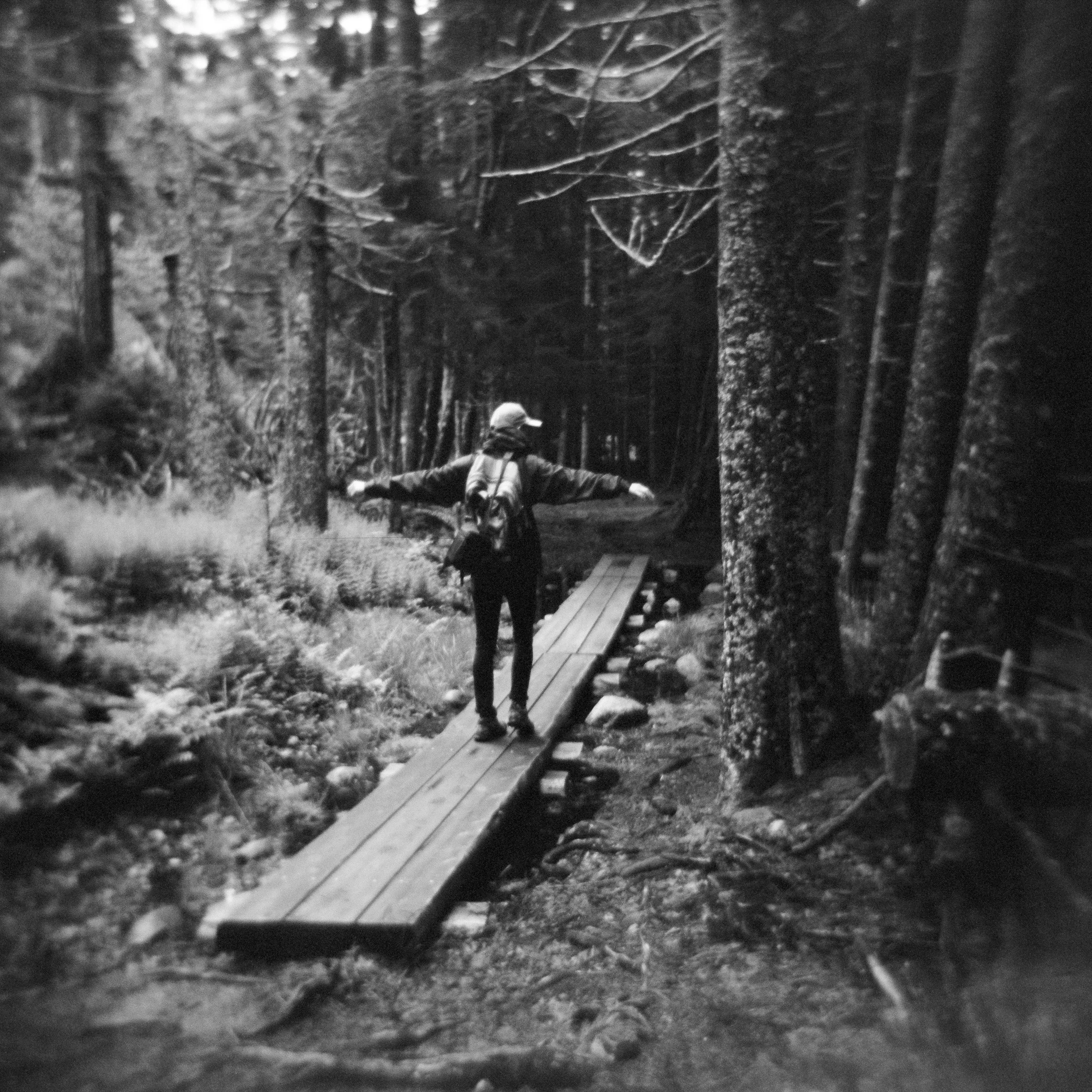 honeymoon1-79.jpg