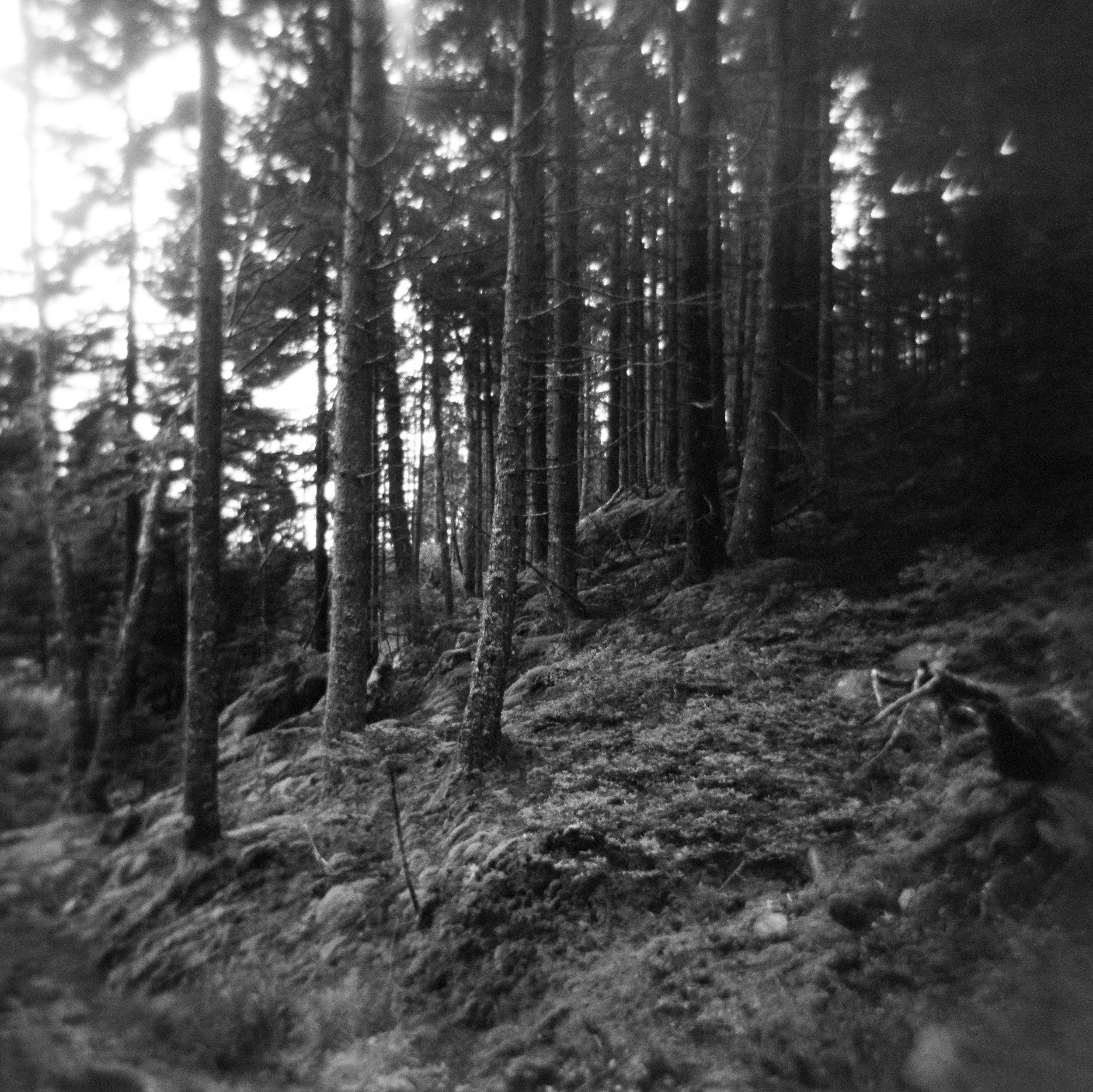 honeymoon1-87.jpg