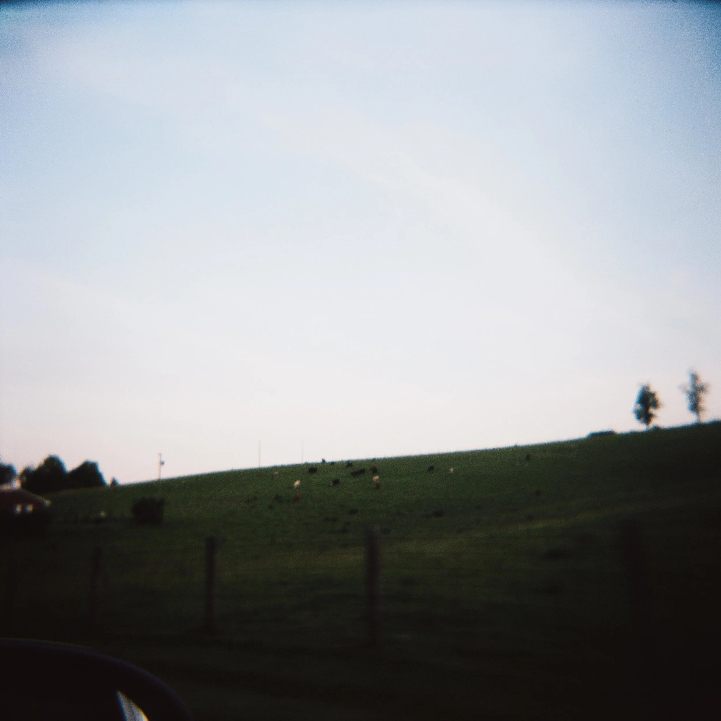 honeymoonColorSMALL-40.jpg