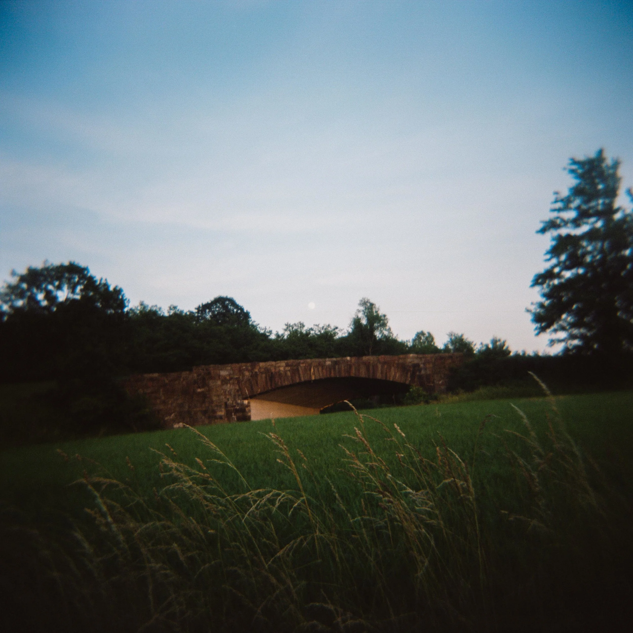 honeymoonColorSMALL-42.jpg