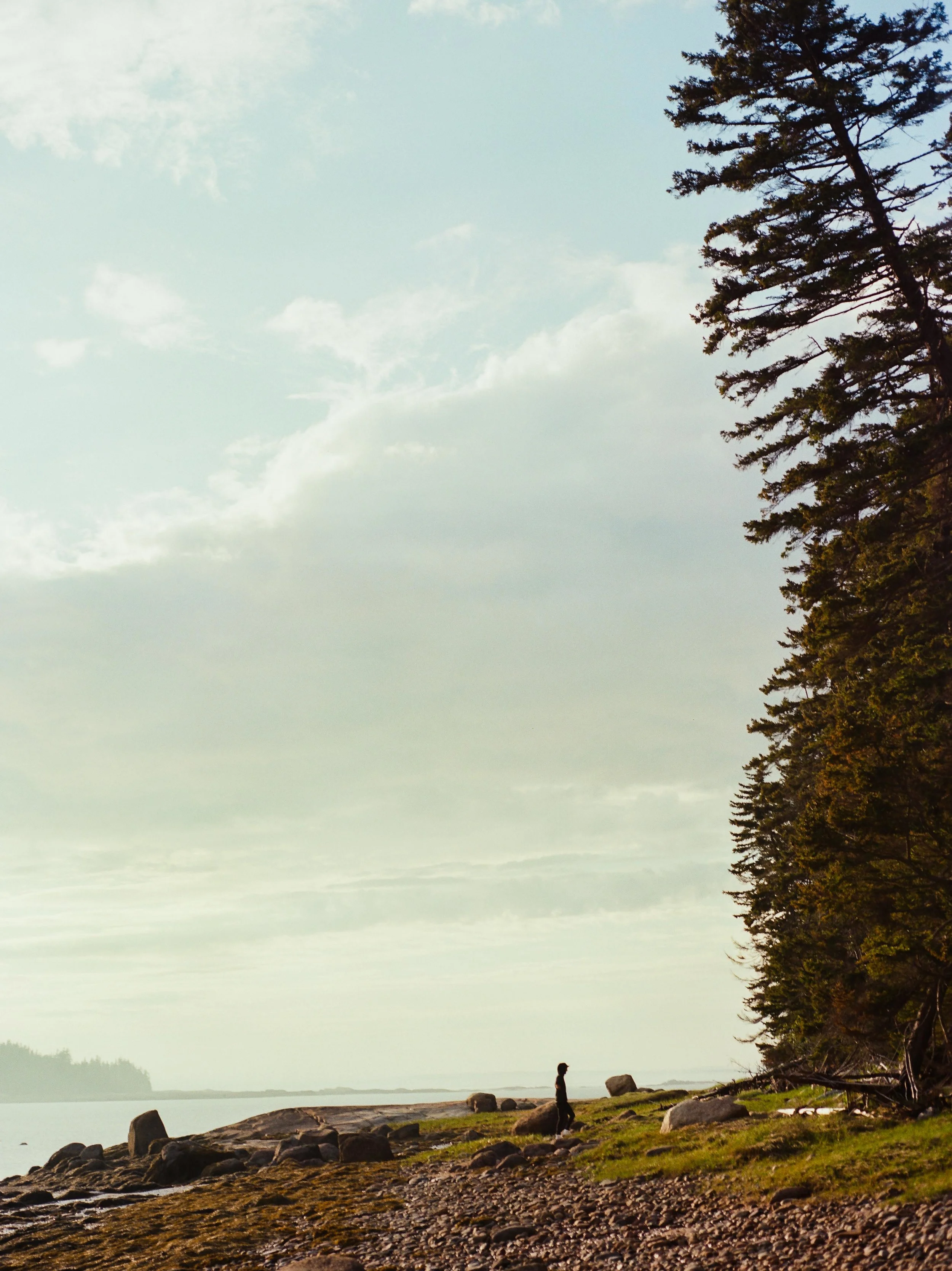 honeymoonColorSMALL-57.jpg