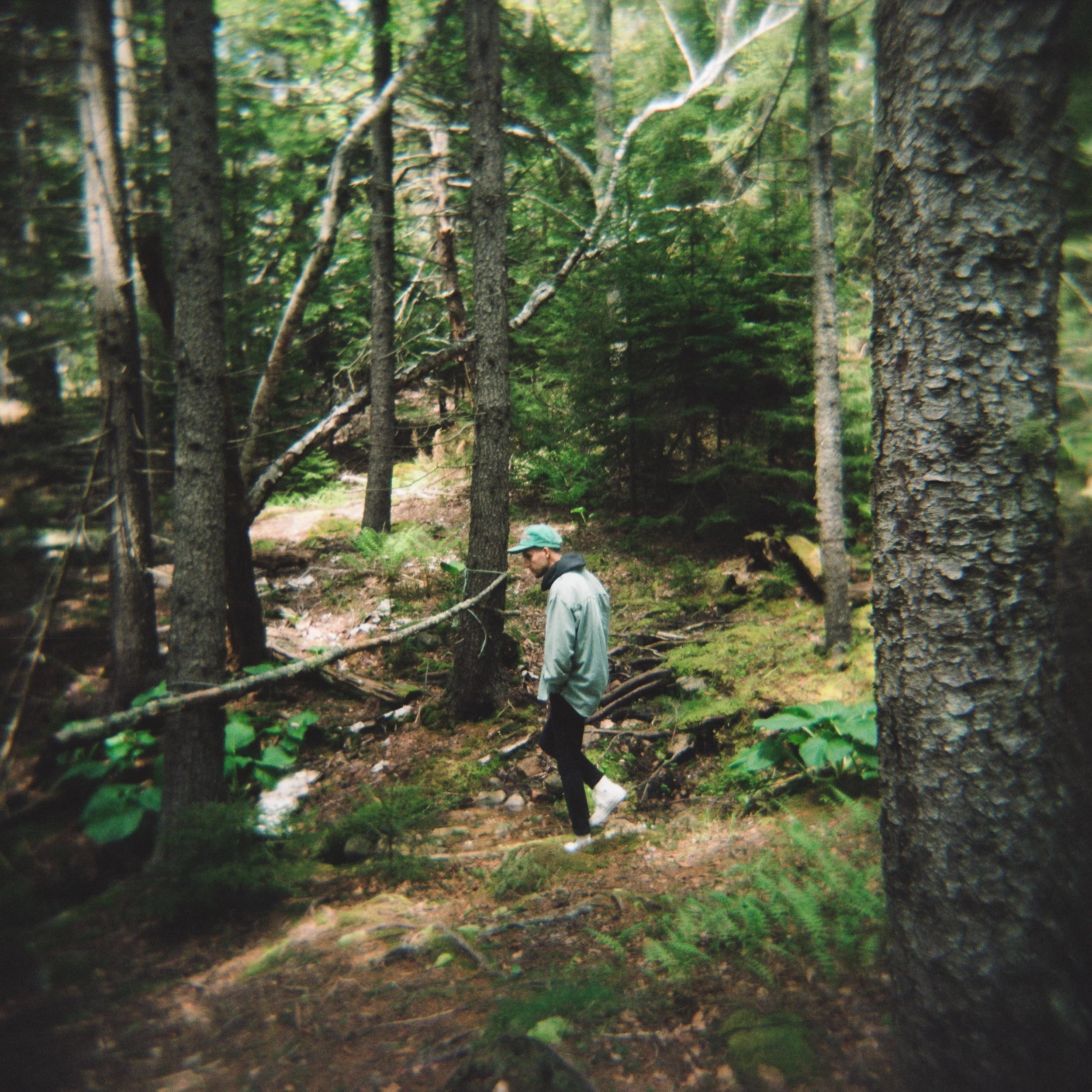 honeymoonColorSMALL-36.jpg