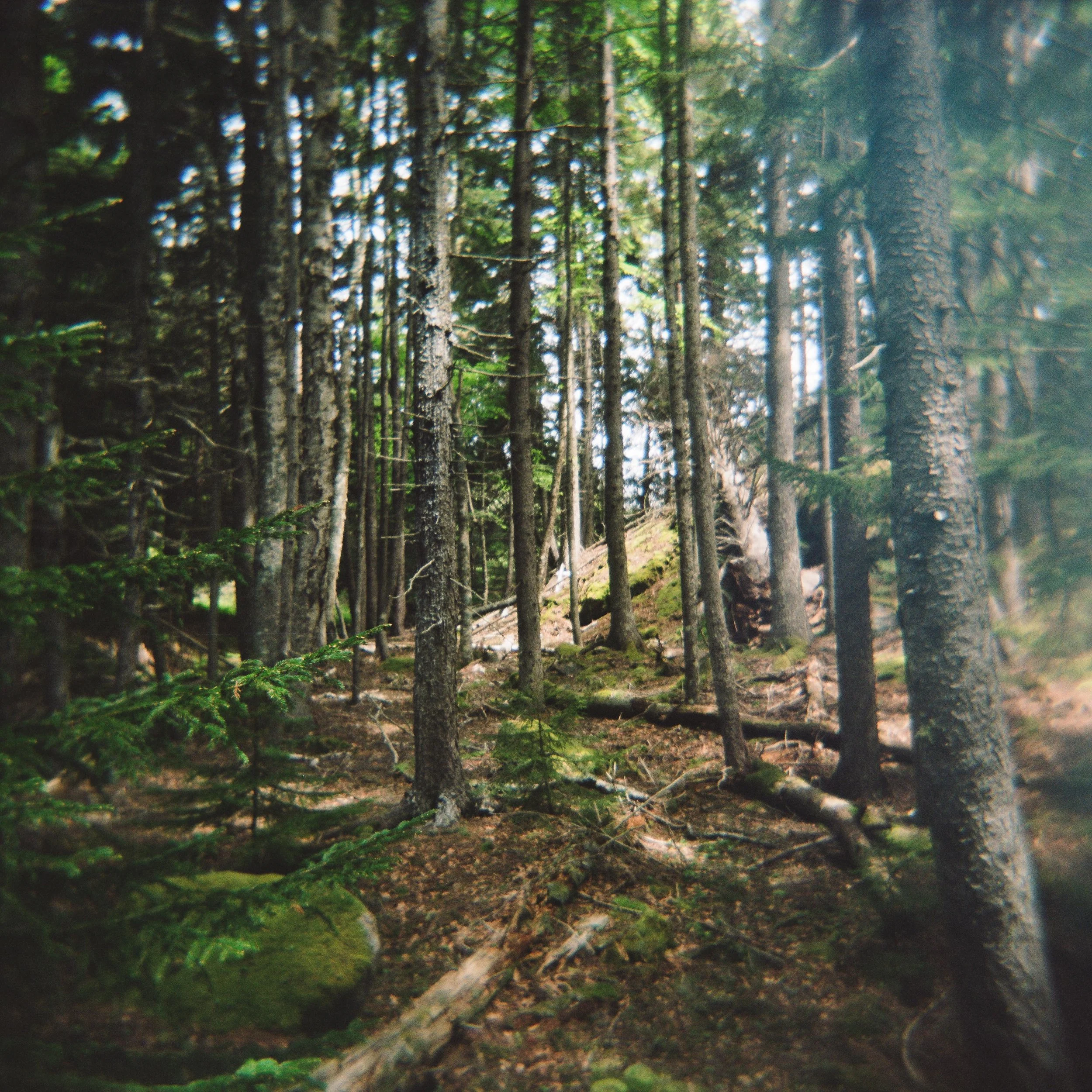honeymoonColorSMALL-37.jpg