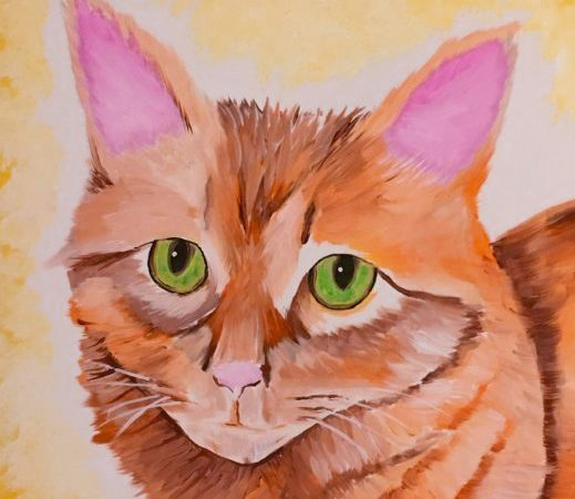 kitty.jpg
