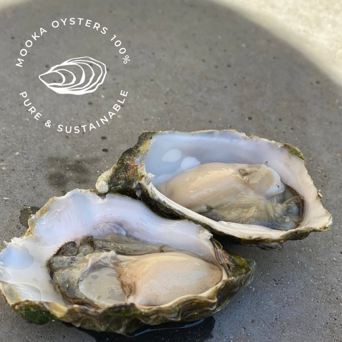 We&rsquo;re back!! Lockdowns are no fun for anyone so we&rsquo;re trying to bring a smile to all the oyster lovers out there. Five dozen deliveries are back. Delivery will be this Friday morning. Check the website for our delivery locations.
Orders m