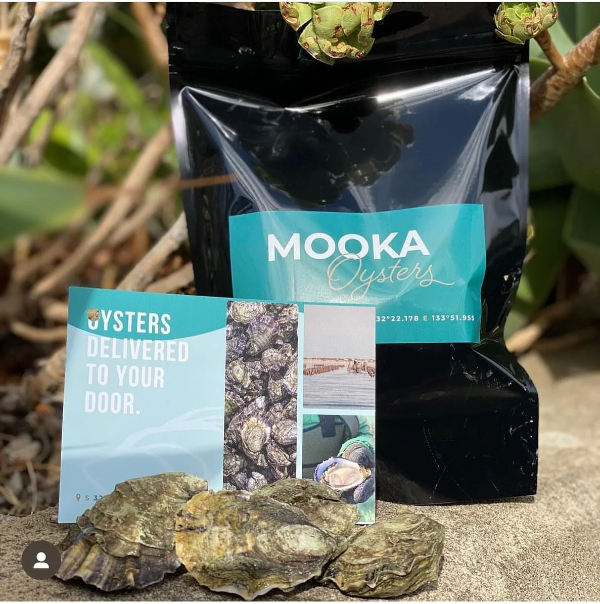 Guess who&rsquo;s back!! 

Our 5 Dozen Bag of Oysters are back! 

Jump online and grab yours now. 10 and 20 dozen boxes also available.