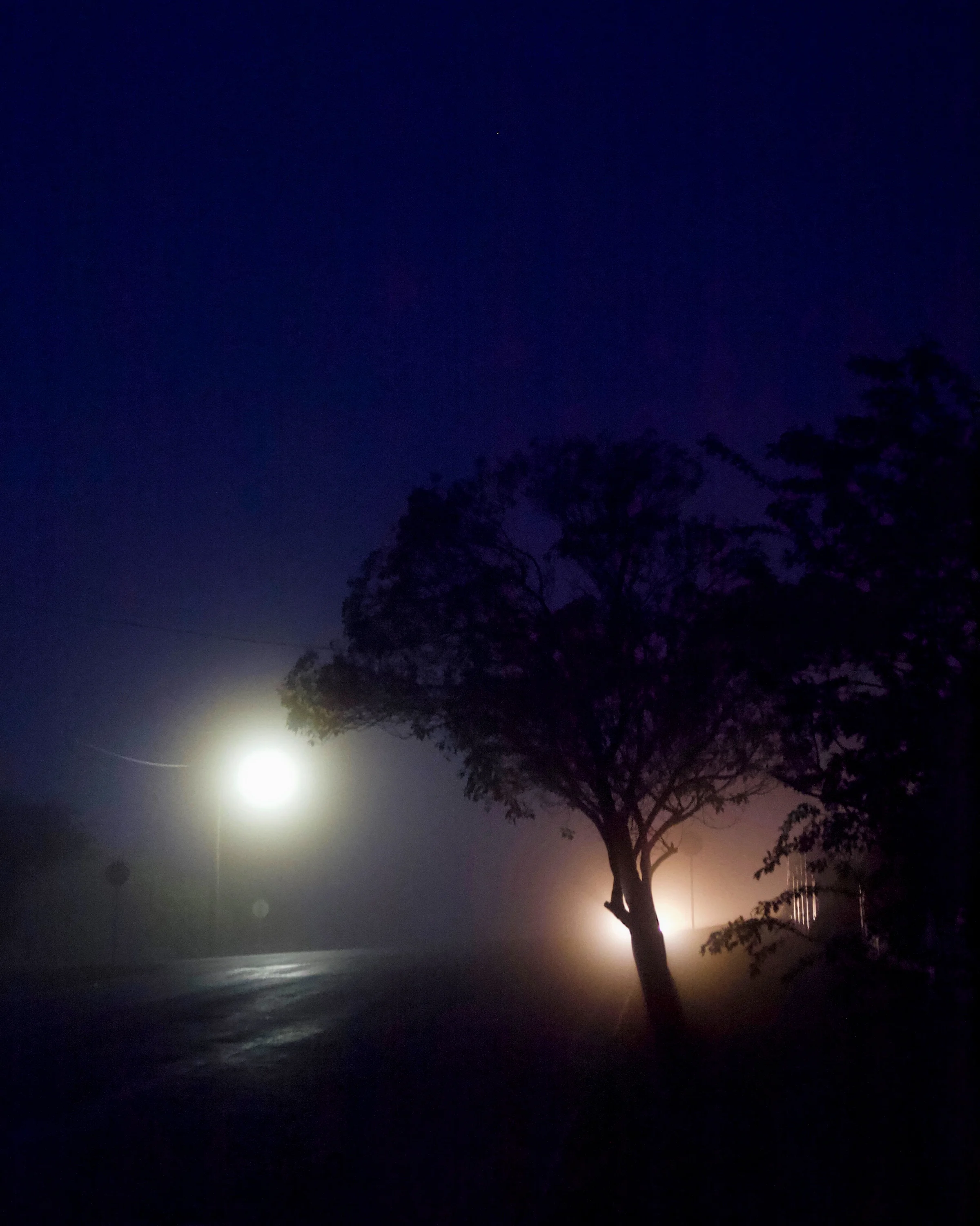 Katoomba Fog.jpg