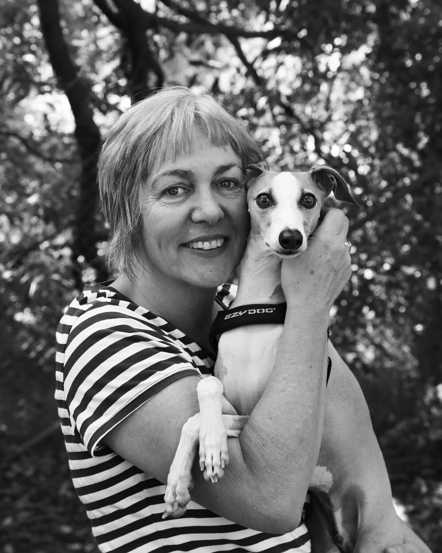Cath &amp; Ninja. #edgegreenway #italiangreyhound #dogsofinstagram #innerwestdogs