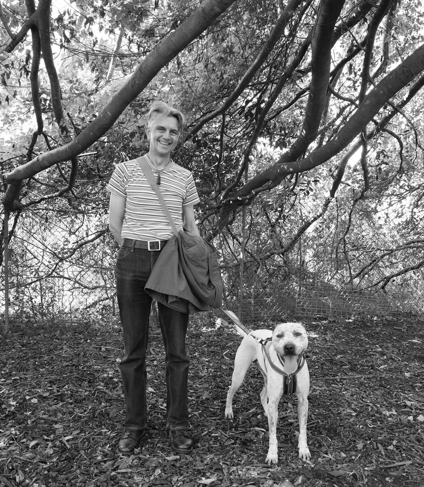 Peter &amp; Lewis, 2021. #edgeinnerwest #dogsofinstagram #dogpeople #dogsoftheinnerwest @innerwestcouncil #karlinamitchell