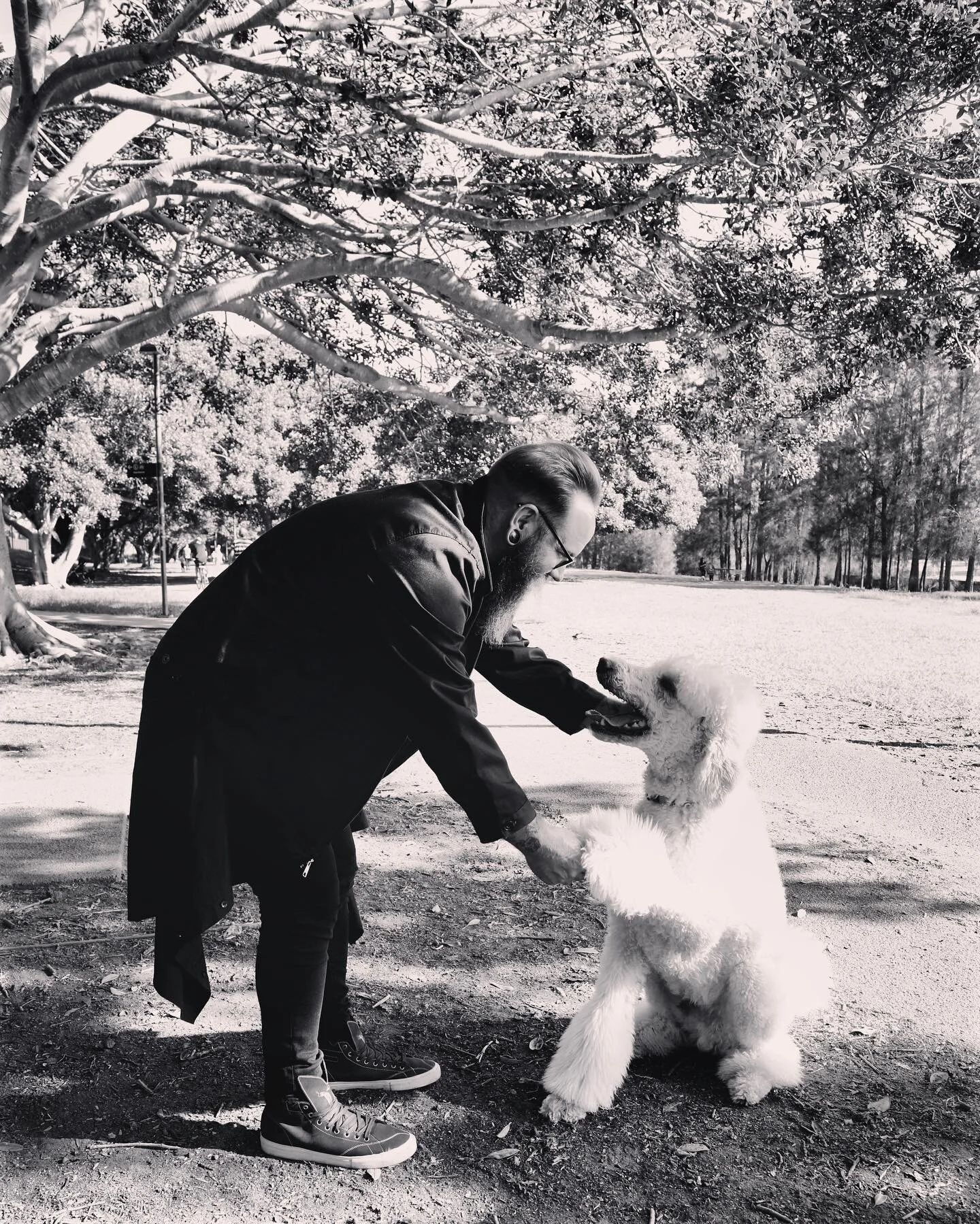 Echo, 2021. #edgeinnerwest #innerwestcouncil @innerwestcouncil #dogsofinstagram