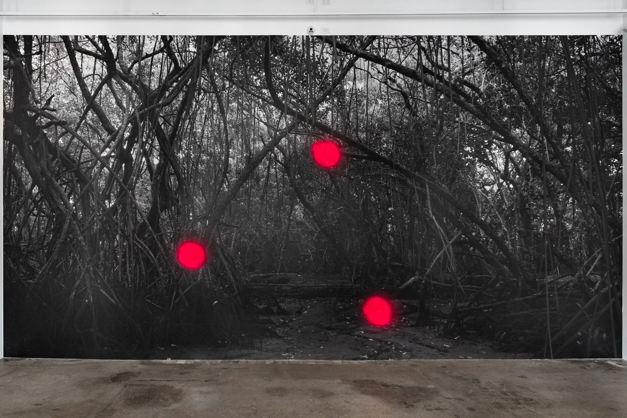 Outerspace 20260321 LR-12.jpg