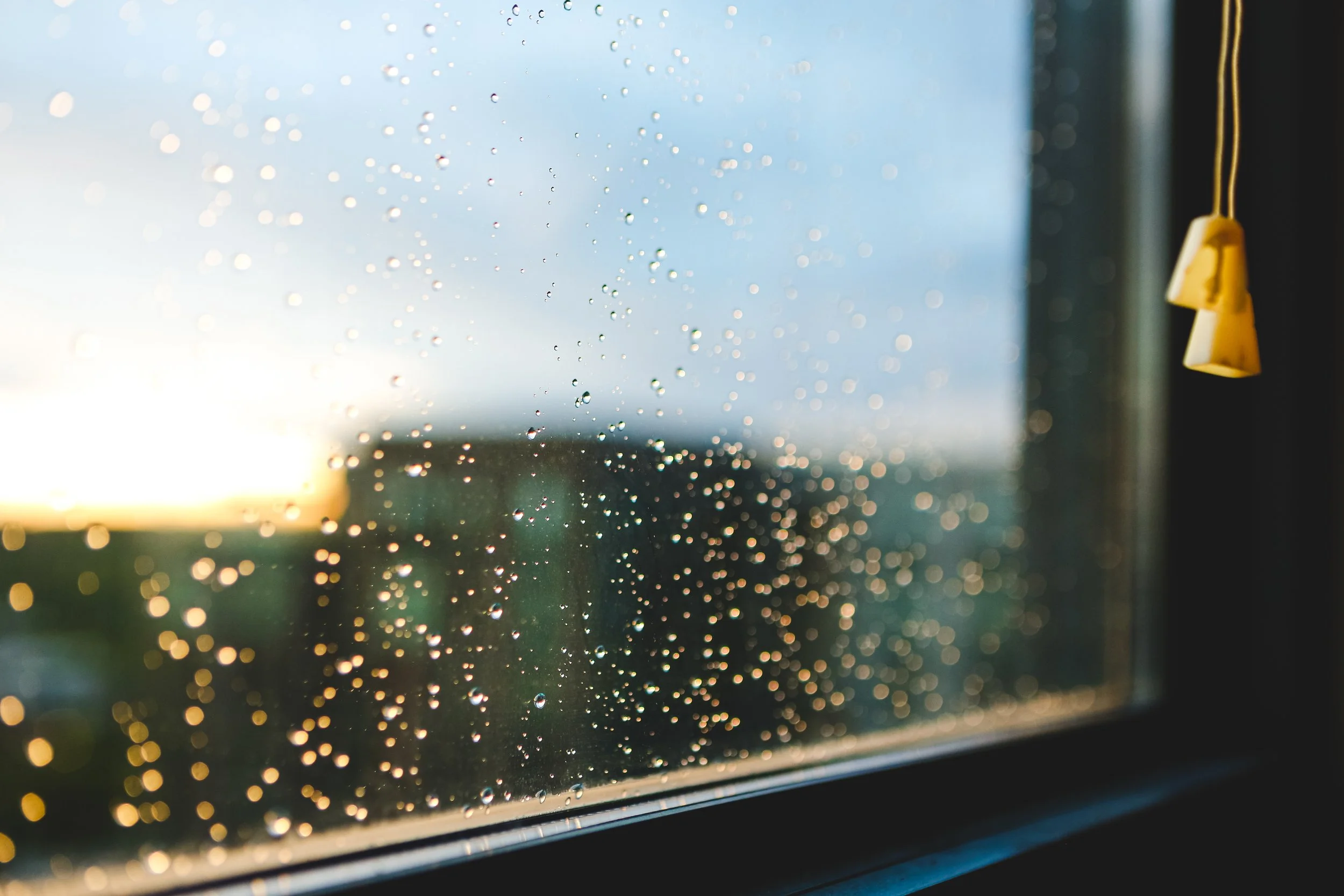 sunlight-highlighting-the-raindrops-on-a-window-2022-02-15-02-46-13-utc.jpg