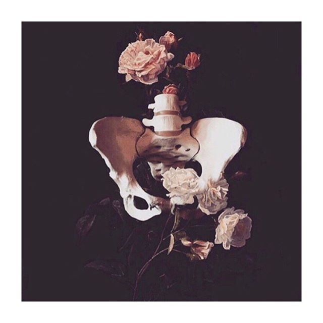 The pelvic bones remind us that we can be strong and still be fluid. That strength doesn&rsquo;t always come from digging in and holding tight, but often from being moveable and letting go. Loving this art by @thelanguageofbirth on this moody, grey M
