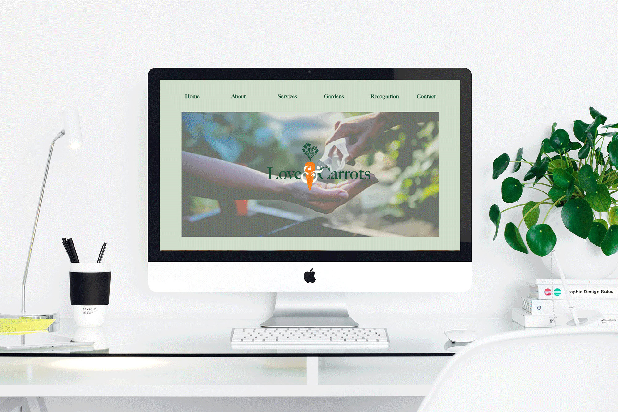 Web Design