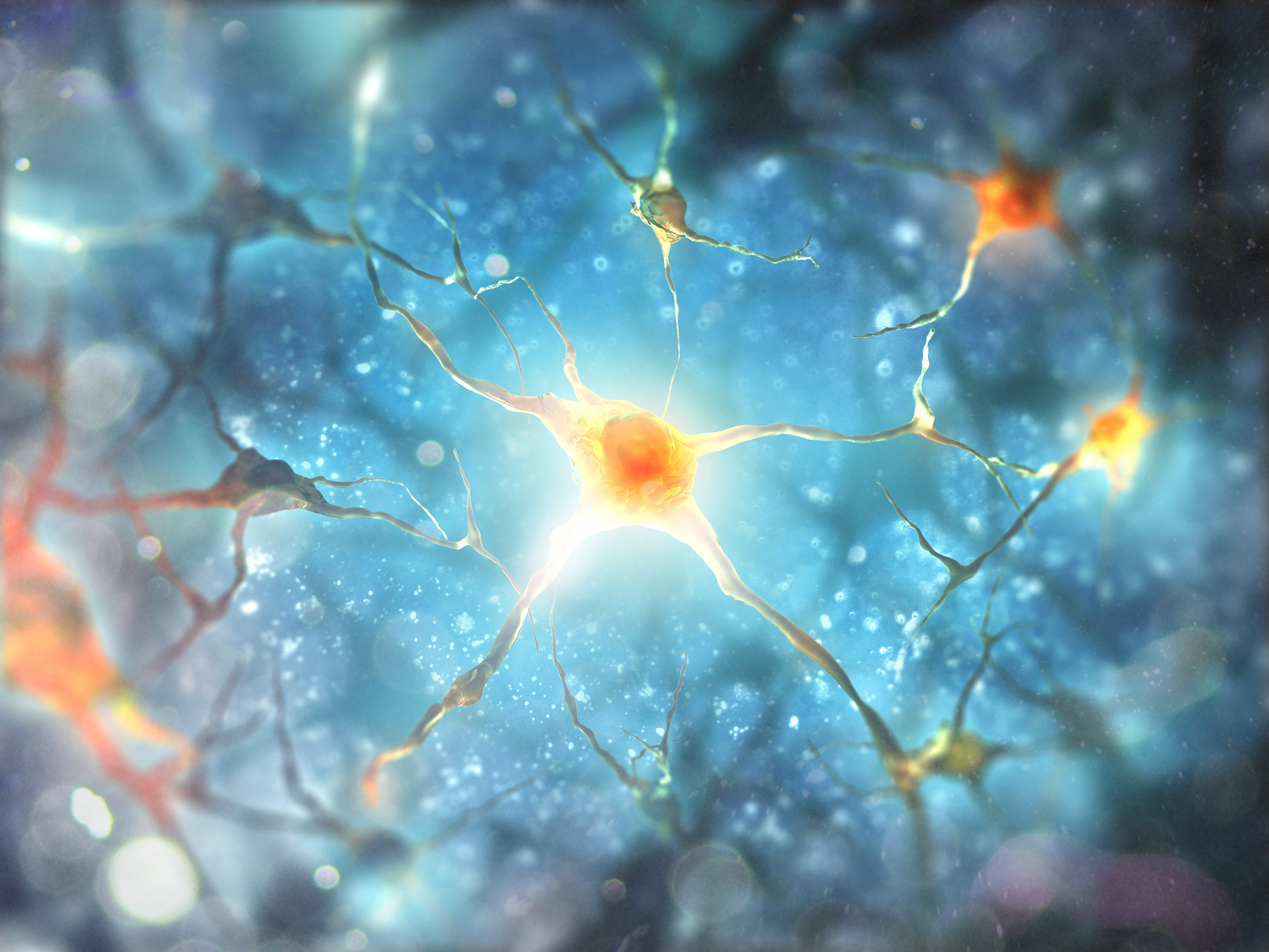 shutterstock_neurons.jpg
