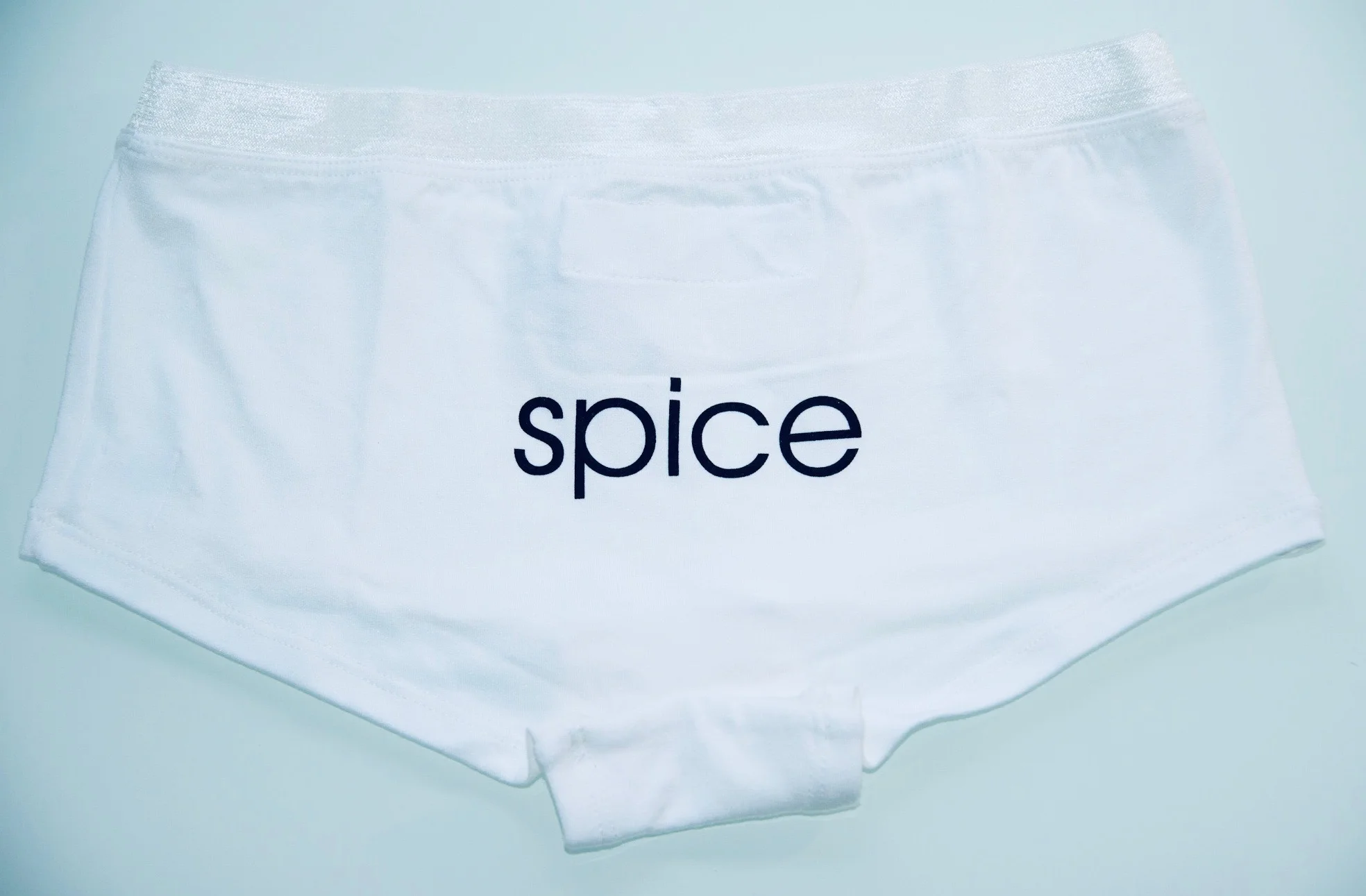 spice boyshort pantie .JPG