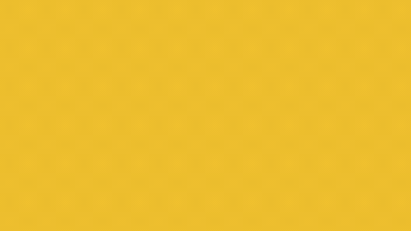 ANIMATION : : Beethowen Souza // DESIGN : : Estudio Pum // CHARACTER ANIMATION : : Bruno Brasil