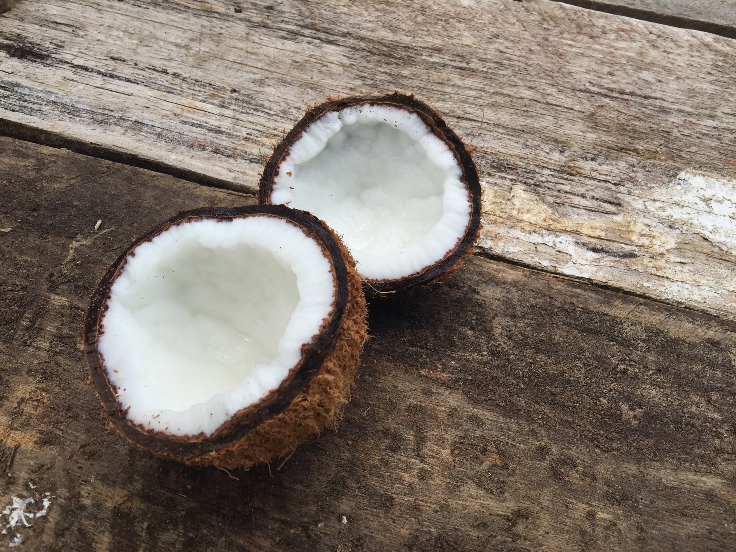 Mature Coconuts originate multiple products