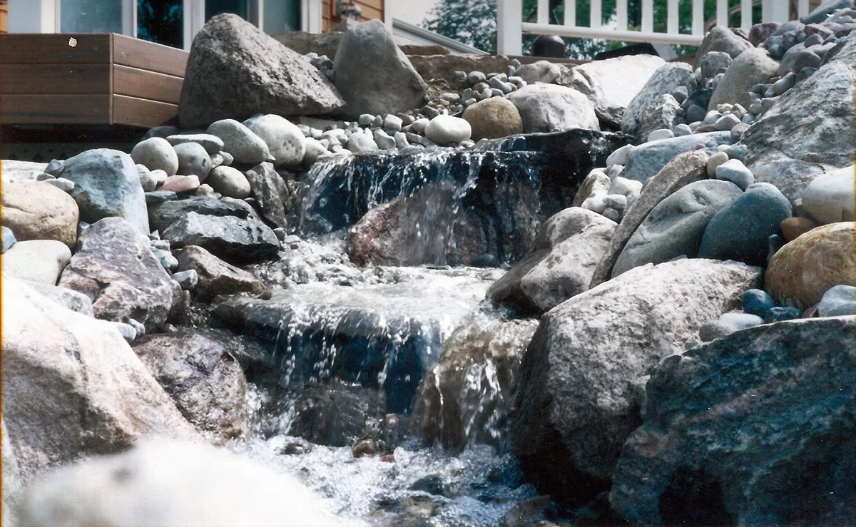 Scan 18-min.jpg