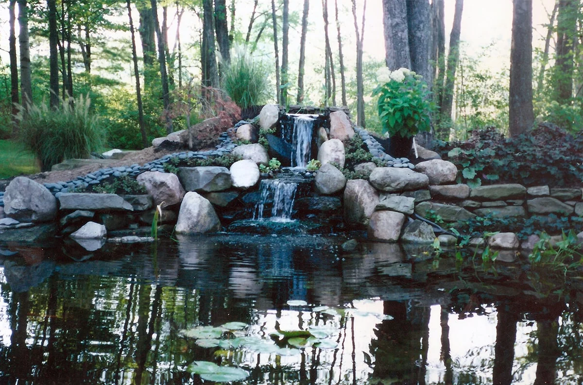 Scan-17-min.jpg