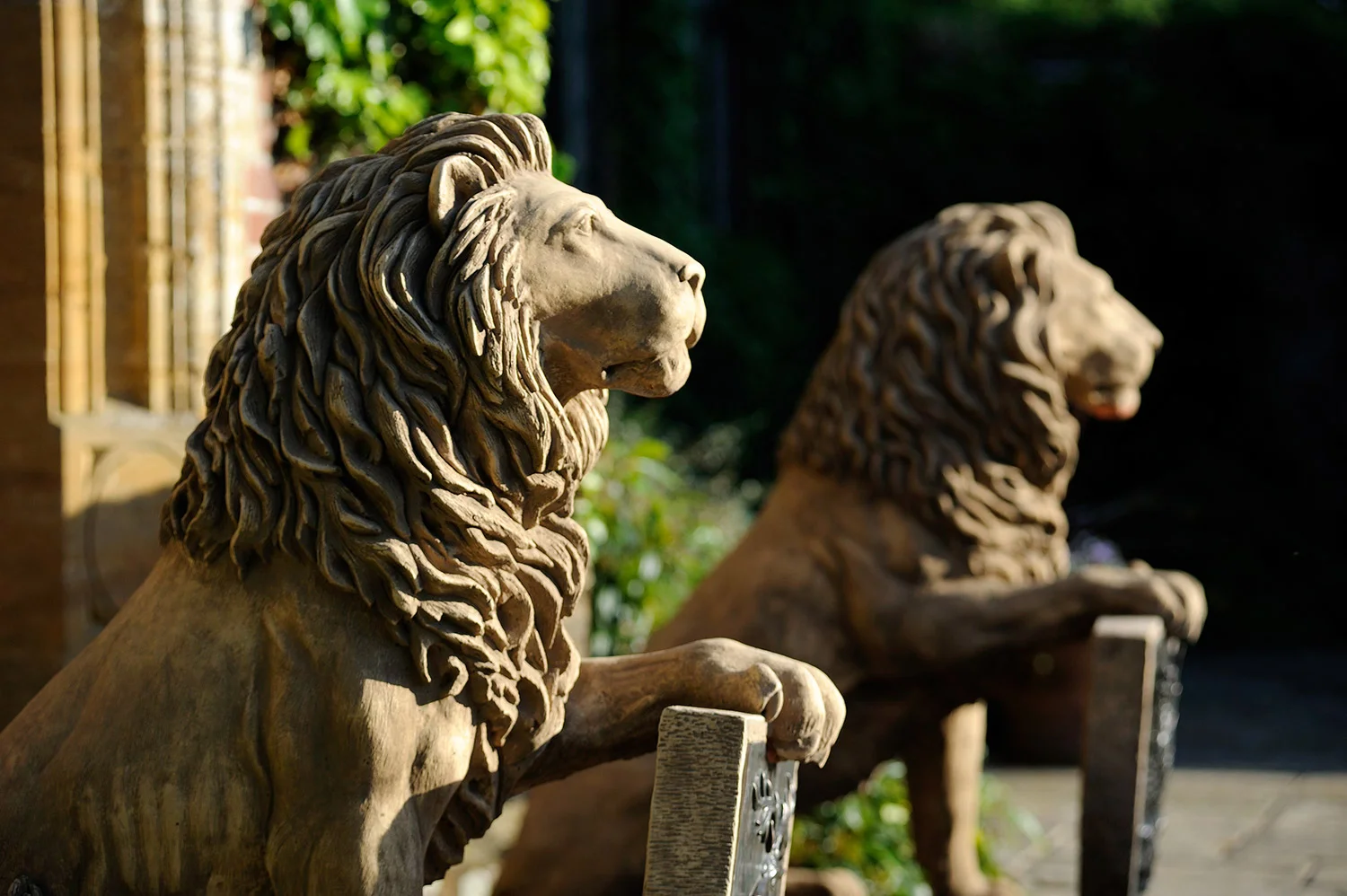 Lions Bearing Shields