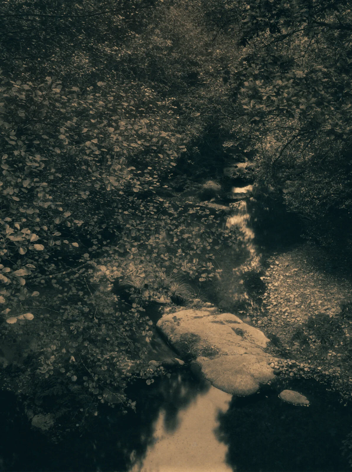 Xtol12_02_01_NEW ADJUSTED.jpg