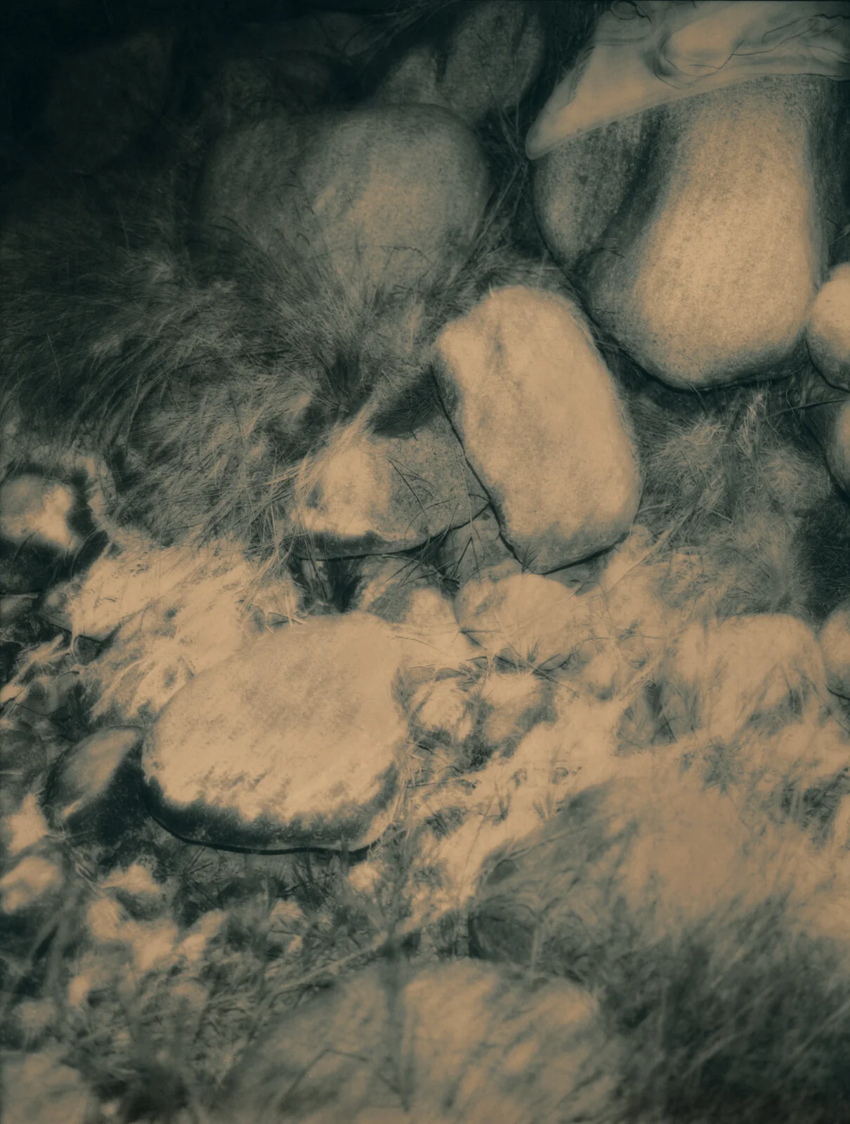 _xtol12_02_NEW ADJUSTED.jpg