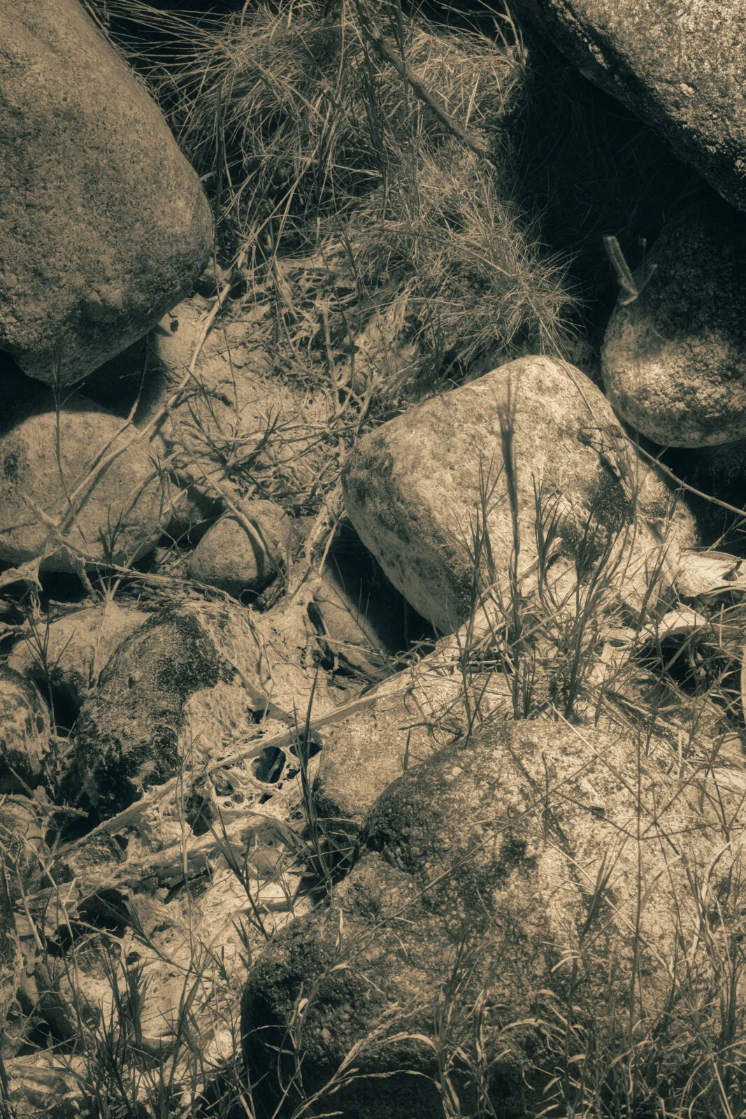 1618_RE_BW_NEW ADJUSTED.jpg