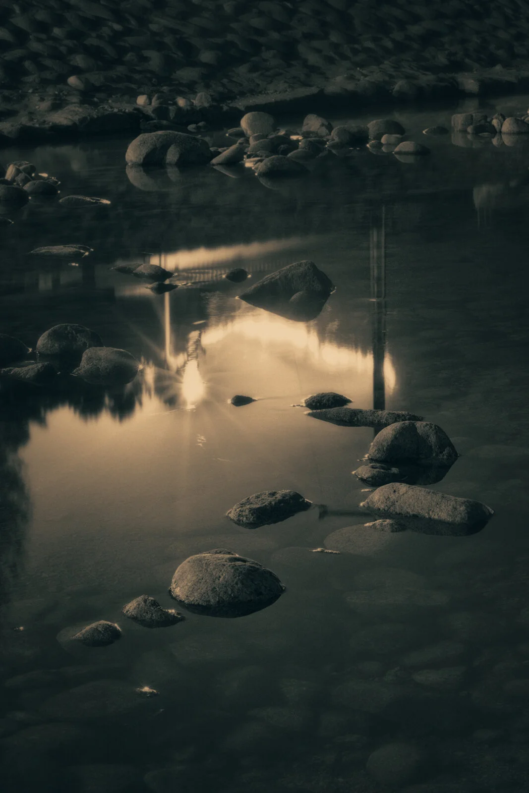 2903_BW_NEW ADJUSTED.jpg