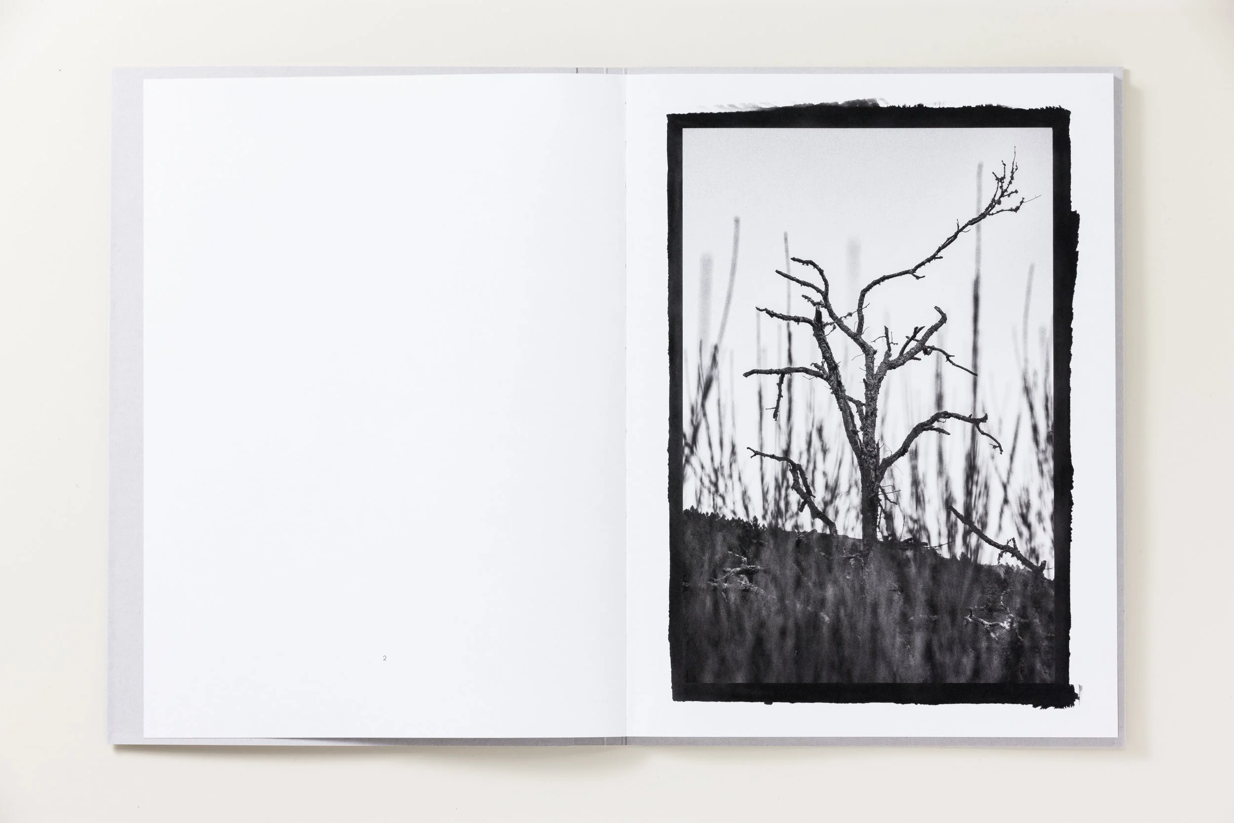 Catalog_My Worlds_Photobook_Teye_04.jpeg