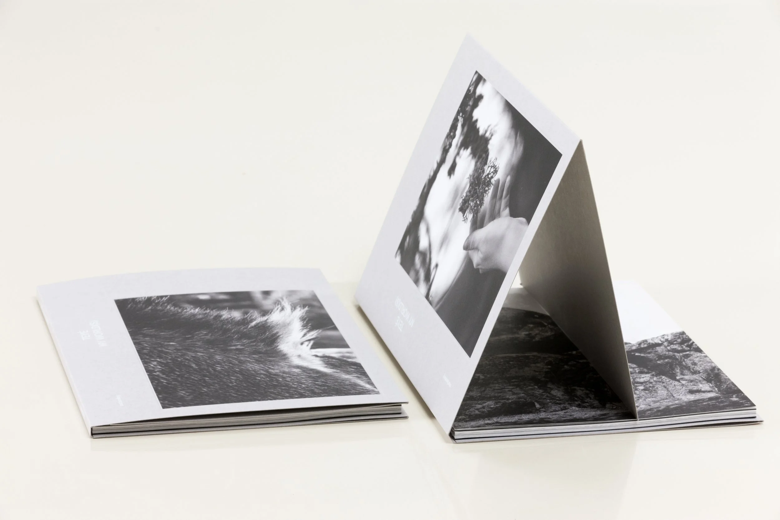 Catalog_My Worlds_Photobook_Teye_01.jpeg