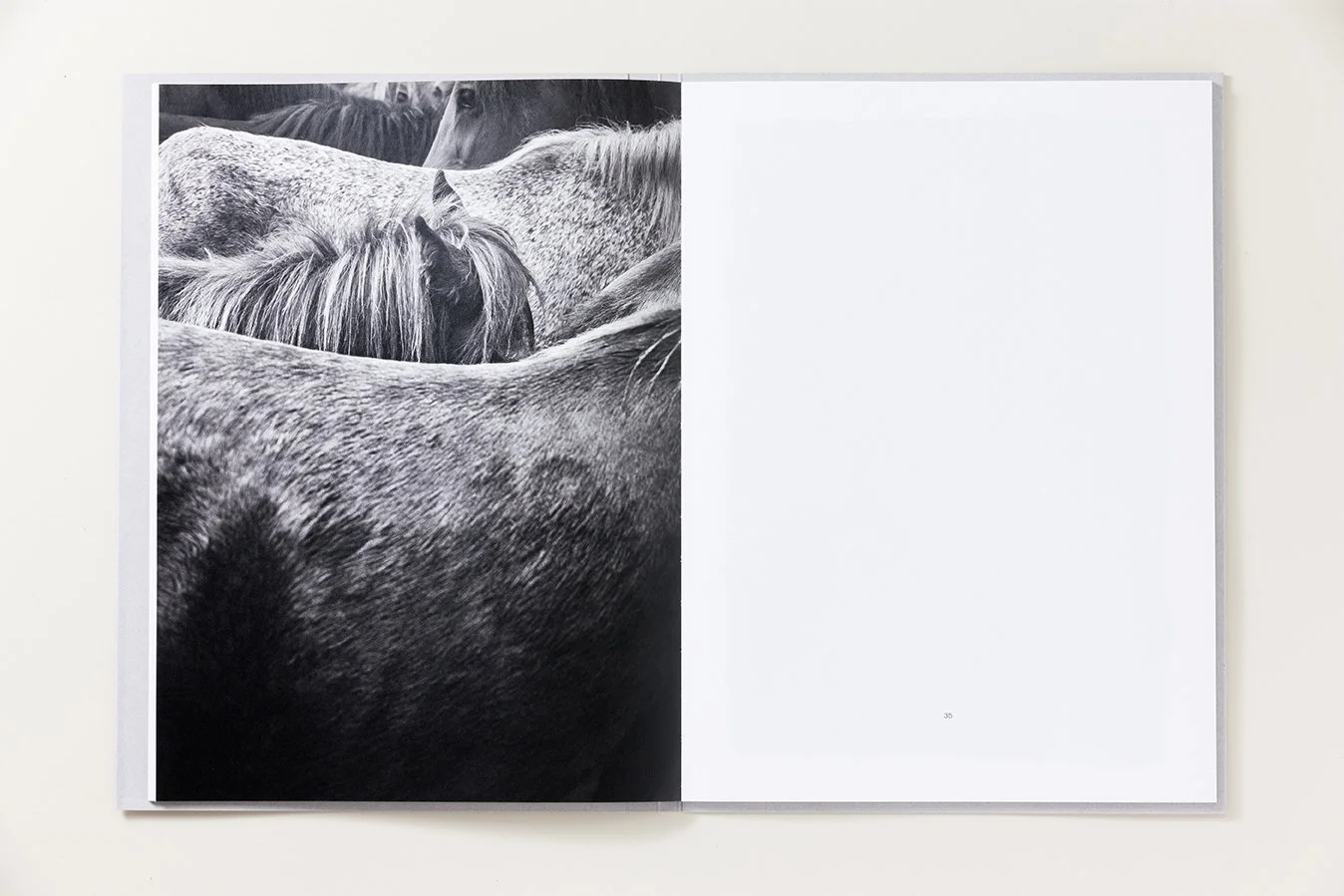 Catalog_My Worlds_Photobook_Teye_14.jpeg