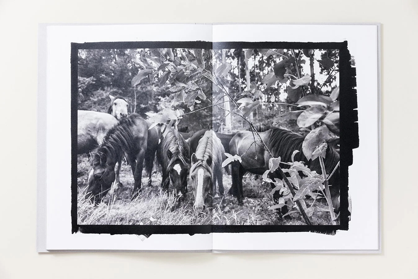 Catalog_My Worlds_Photobook_Teye_21.jpeg