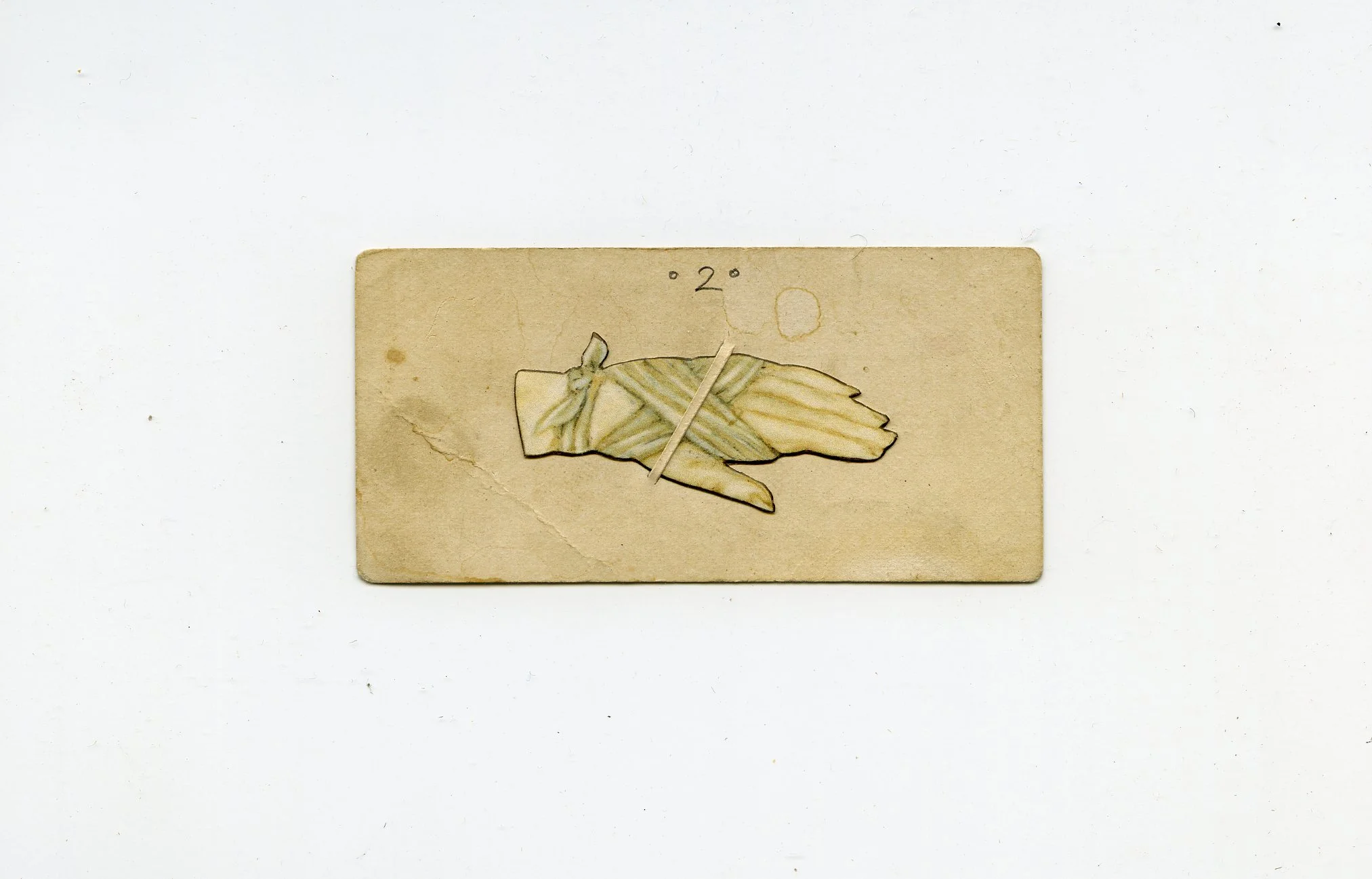 printhand305.jpg