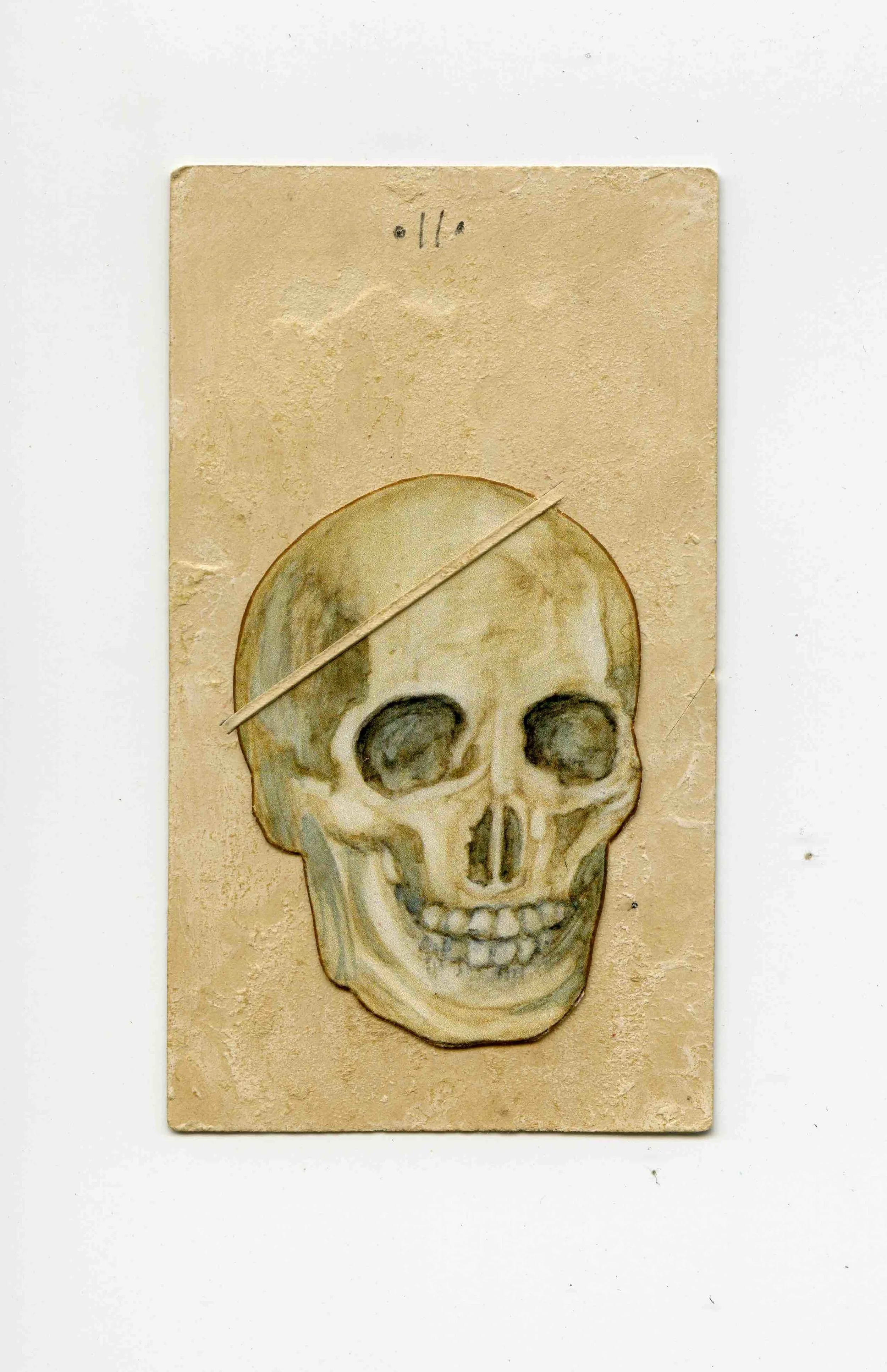 SmSkull.jpg