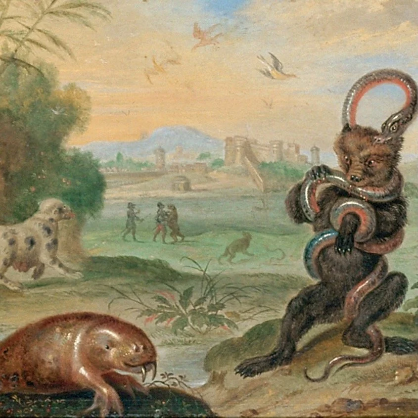 Ferdinand_van_Kessel_-_Puerto_Rico.jpeg