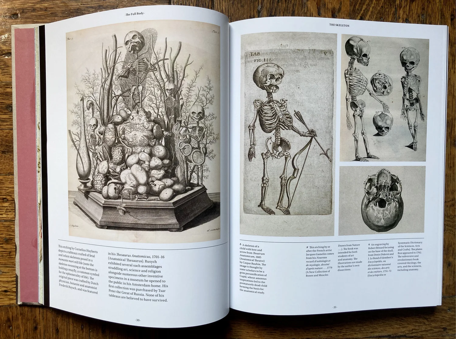 SIGNED Anatomica: The Exquisite and Unsettling Art of Human 