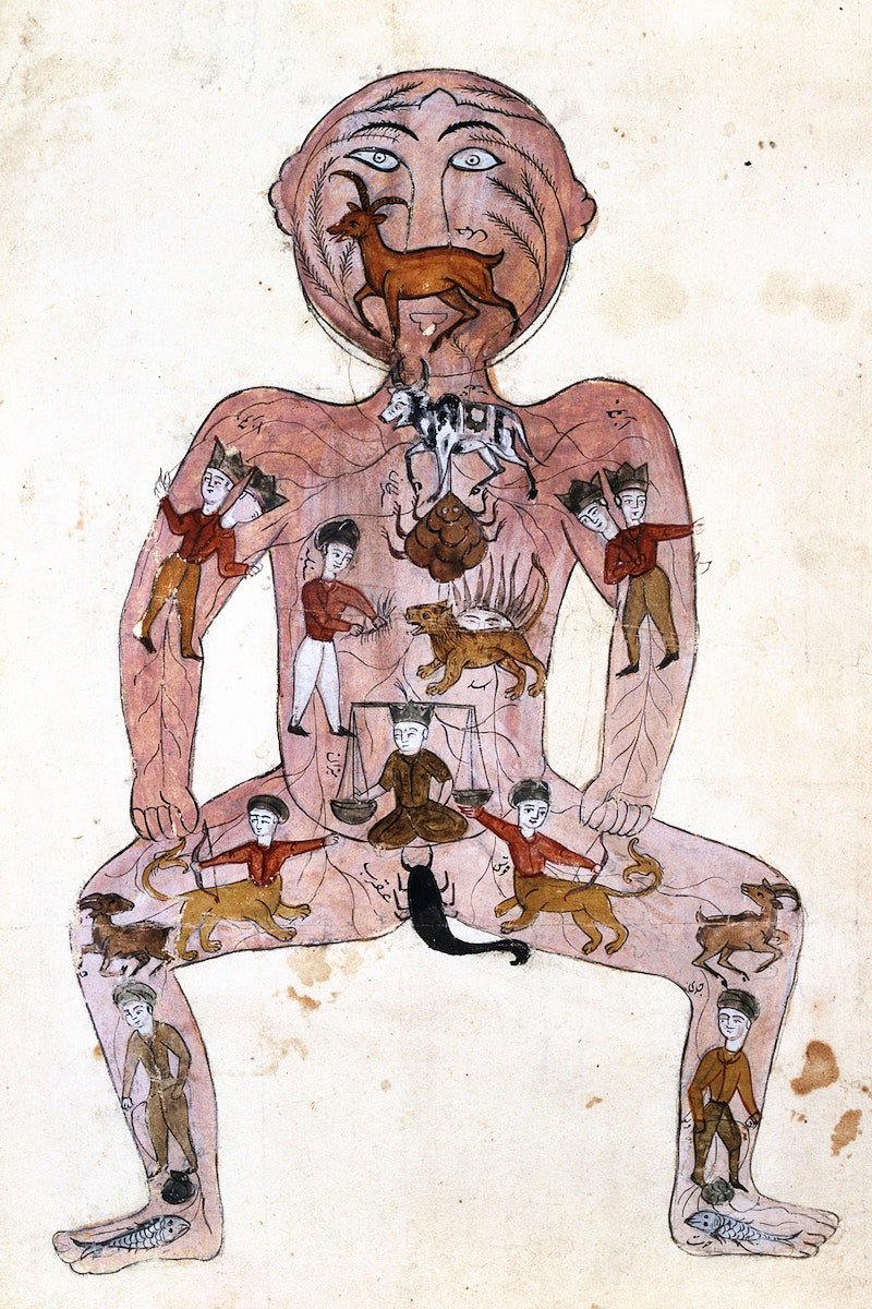zodiac-man-17-1.jpg