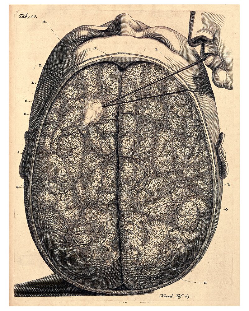 12209_008_fig_012.2.WEllcometif.jpg
