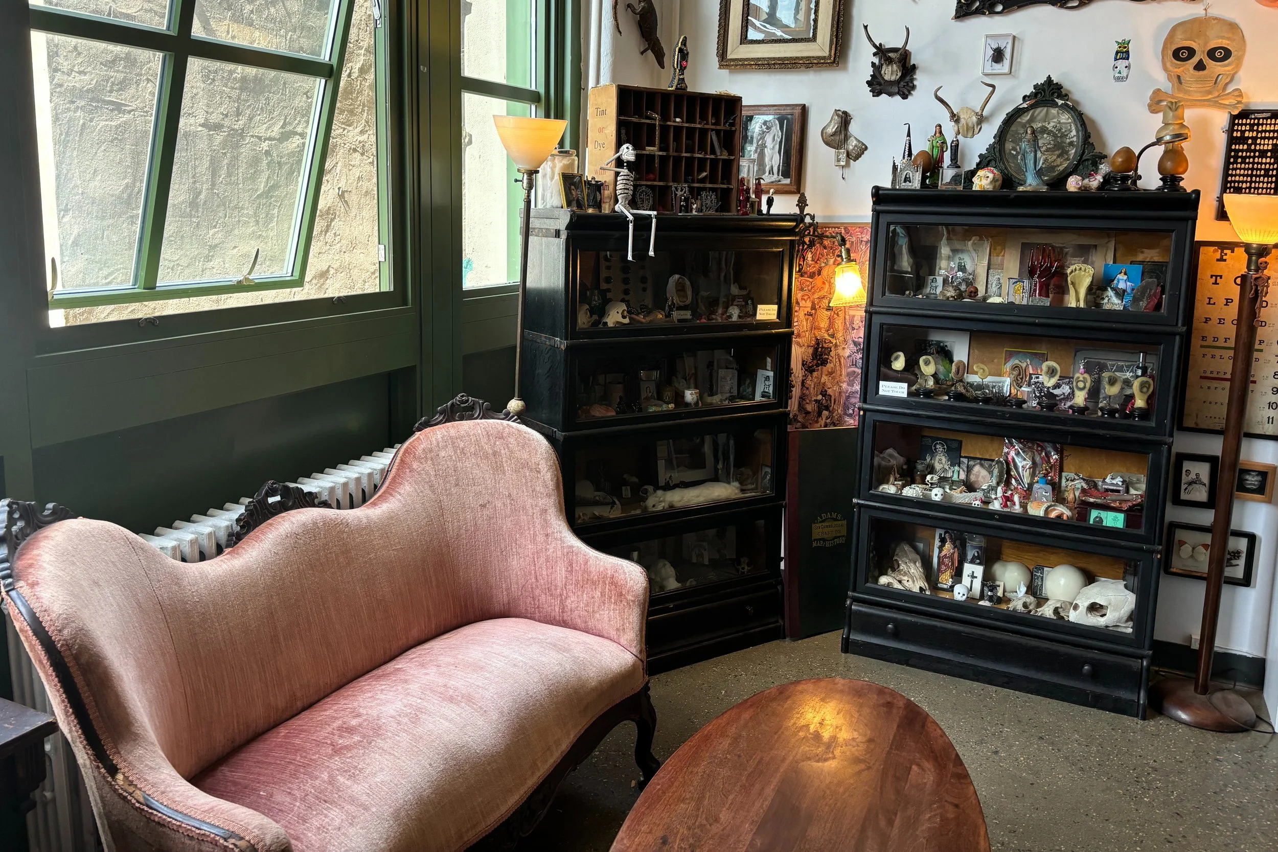 Visit The Morbid Anatomy Library and Gift Shop in Brooklyn, New York
