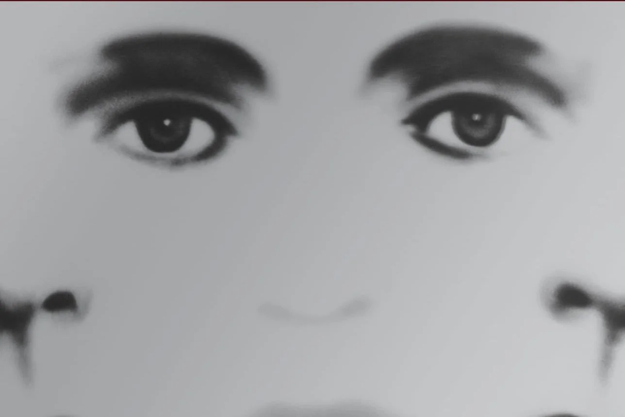 Free Online Talk · Evolution of the Flesh: The World of David Cronenberg with filmmaker Chris Alexander