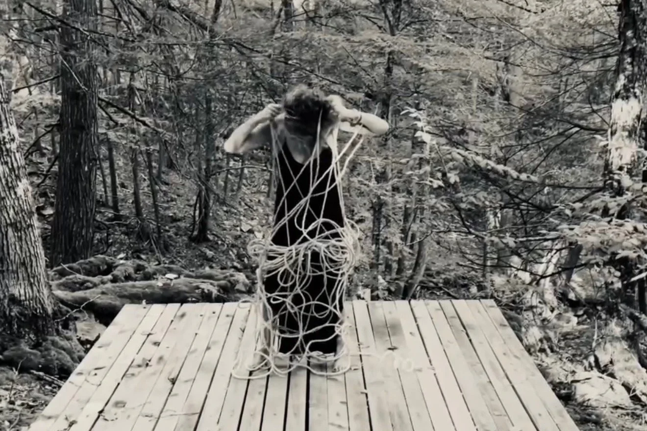 Free In Person Book Event · Disentanglement / Re-Embodiment: Infinite Becoming, Shapeshifting, and Radical Transformation: Jill Goldman in conversation with Asti Hustvedt and Joanna Ebenstein&nbsp;