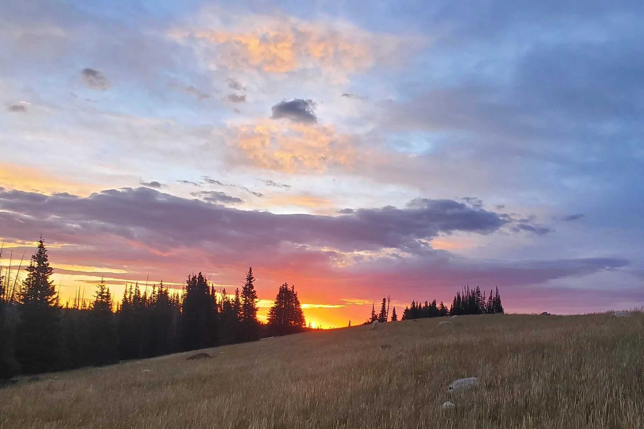 Free Online Talk · For the Death Doula Curious — An Introduction to the Practice with Death Midwife and Shaman Lisa Cox