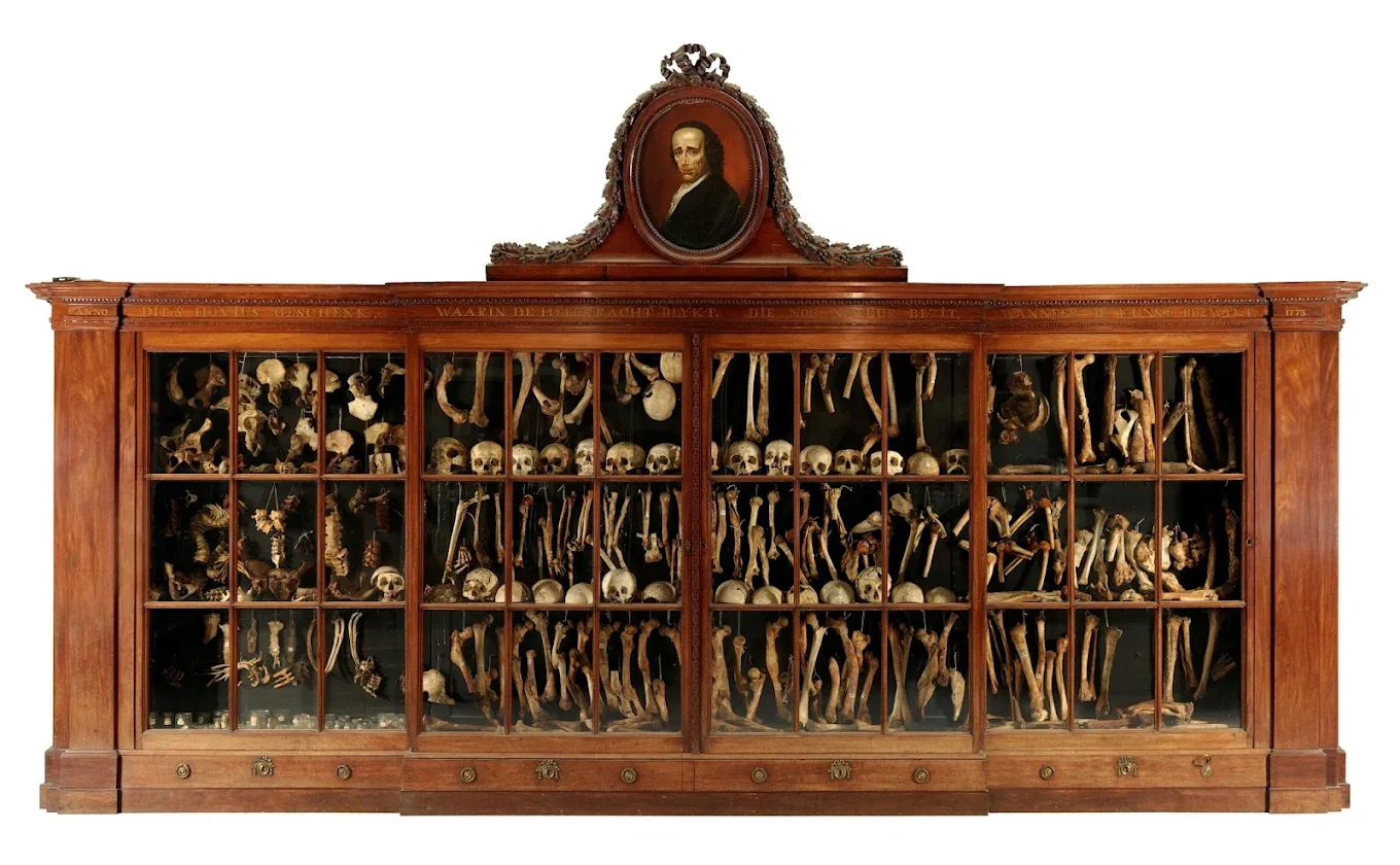 Free Online Member Event · Vrolik Anatomical Museum of Amsterdam Tour with Director Laurens De Rooy 