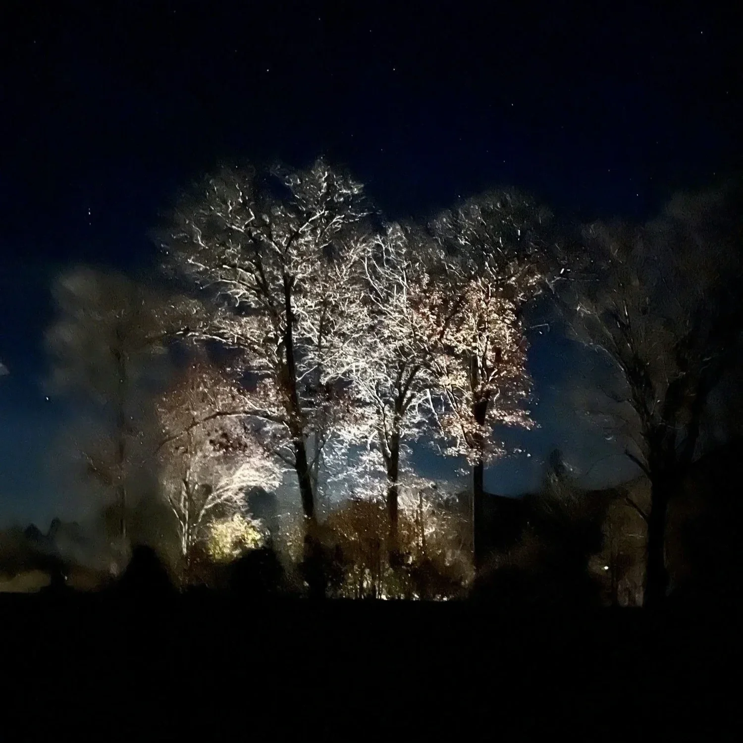 Winter Solstice Writing Ritual: A Live, Online Generative Ceremony with Gabriela Denise Frank, December 21