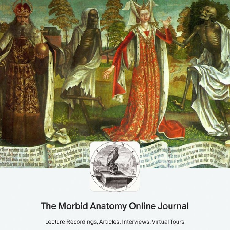Morbid Anatomy Definition. The Meaning Of Morbid Anatomy – KMDY