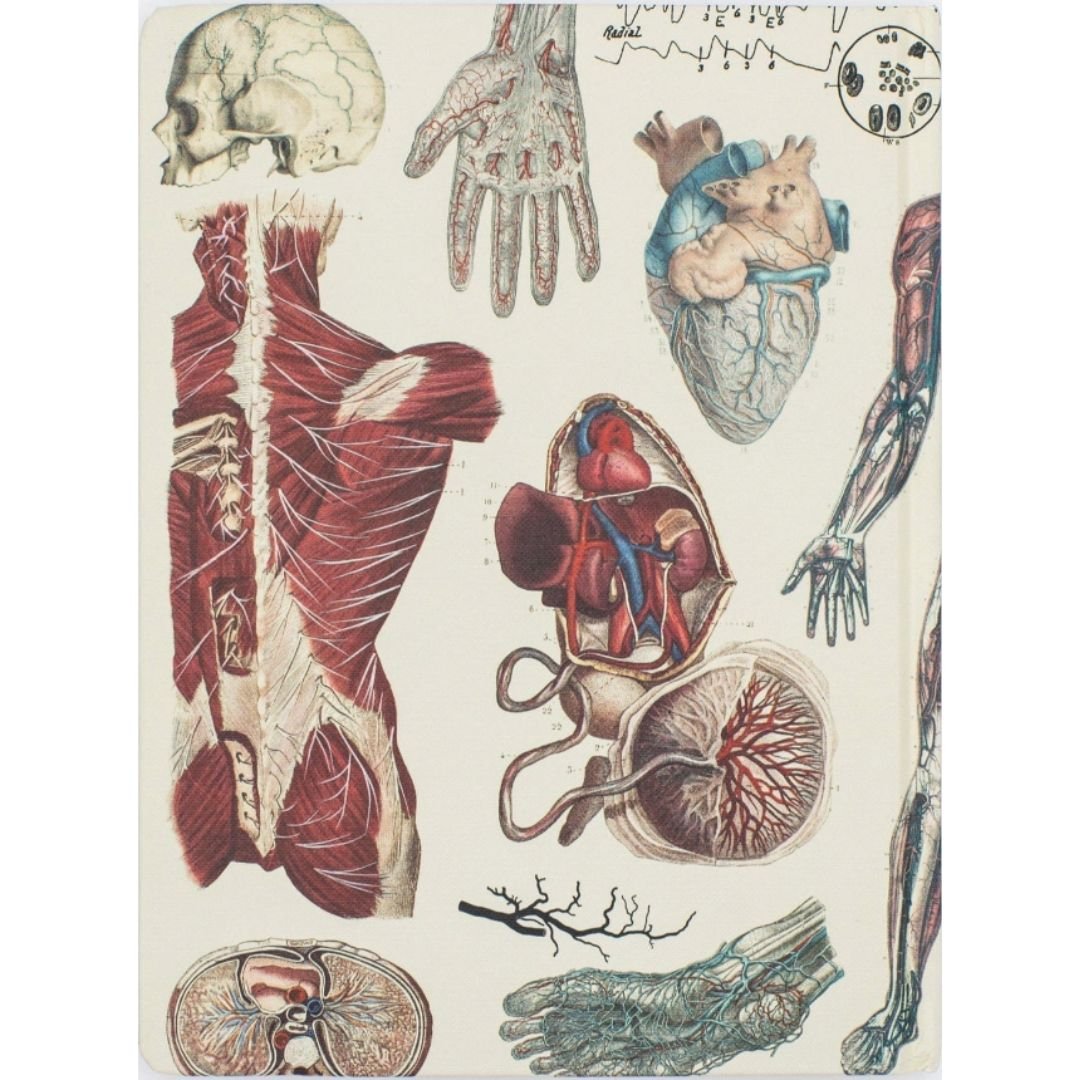 vascular hardcover.2.jpg