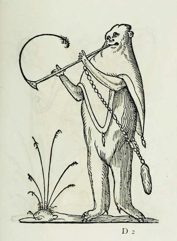 Image 40.jpeg